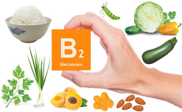 Vitamina B2