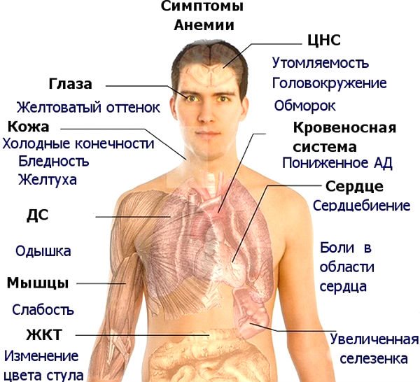 Sinais de anemia