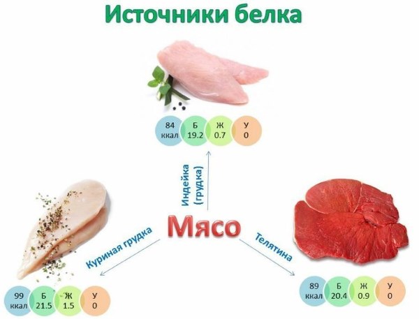 Pierderea în greutate a alimentelor cu proteine: listă și tabel cu alimente cu calorii