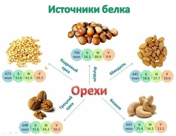 Perder peso com alimentos proteicos: lista e tabela de alimentos calóricos