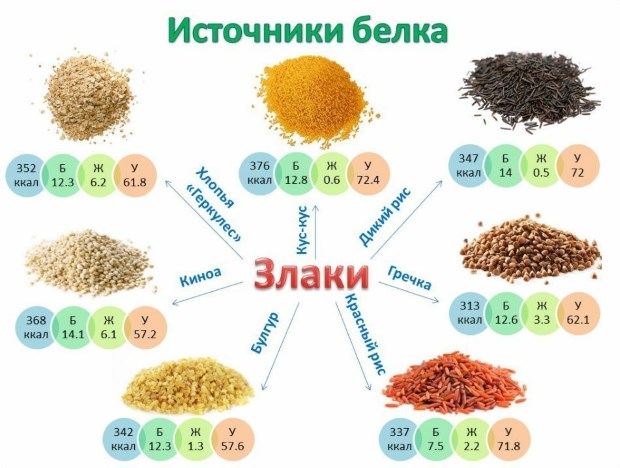 Pierderea în greutate a alimentelor cu proteine: listă și tabel cu alimente cu calorii