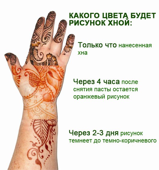 Mehendi - o que é. Desenhos de hena no corpo para iniciantes. Esboços, padrões de tatuagem