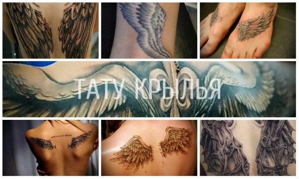 Asas de tatuagem (asa) nas costas - significado para meninas e homens. Uma foto