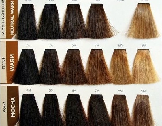 Matriz de tintura de cabelo - paleta de cores por números, foto no cabelo