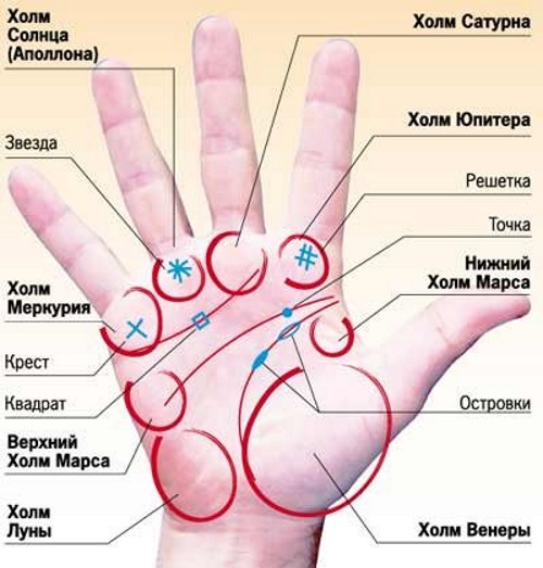 La signification des lignes sur la paume de la main droite et gauche pour les femmes et les hommes. La chiromancie en images dans une langue accessible avec une photo