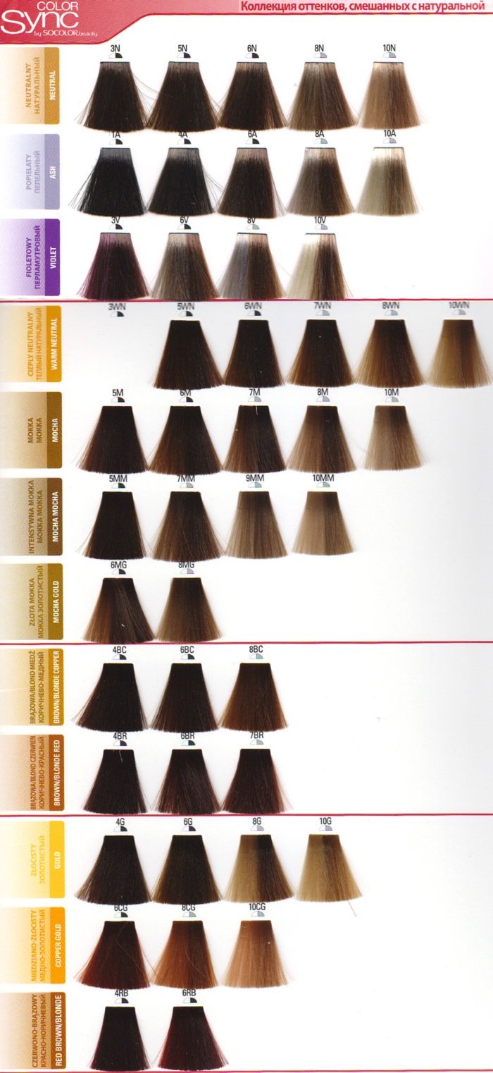 Matriz de tintura de cabelo - paleta de cores por números, foto no cabelo