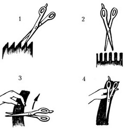 Desbaste de cabelo, antes e depois das fotos. Como fazer para cachos curtos finos e cacheados ao longo de todo o comprimento ao cortar, como fica, quem combina com