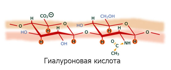 Vopsea Kapus cu acid hialuronic. Paletă, compoziție, descriere, instrucțiuni de utilizare