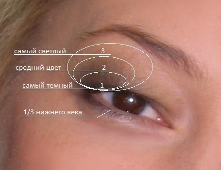 Maquilhagem para pálpebras salientes e aumento dos olhos. Guia de fotos passo a passo e tutoriais em vídeo