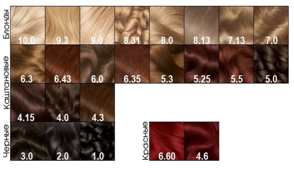 Tinta de cabelo castanho claro Garnier, Estelle, Loreal, Kapus, Palet, Igor. Paleta, foto no cabelo