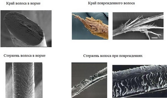 Sculptură pentru păr mediu - bucle ușoare și mari, cum arată pe bigudiuri mari, cu breton, cum să coafezi. O fotografie