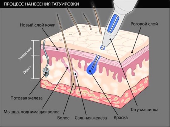 Tatuaje cu mâneci pentru fete: alb-negru, culoare, spațiu, biomecanică, Japonia, polinezia, dragon, pădure, flori, Chicano, lup, școală veche, samurai. Cât costă să-ți faci un tatuaj