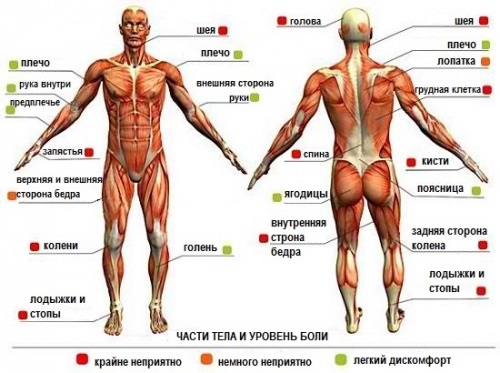 Tatuaje cu mâneci pentru fete: alb-negru, culoare, spațiu, biomecanică, Japonia, polinezia, dragon, pădure, flori, Chicano, lup, școală veche, samurai. Cât costă să-ți faci un tatuaj