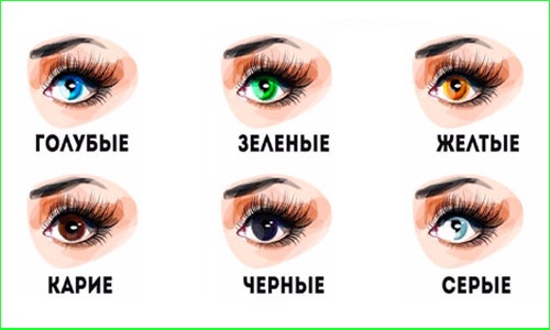 Formas dos olhos. Como identificar, foto e descrição, escolher flechas, fazer maquiagem perfeita