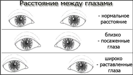 Formas dos olhos. Como identificar, foto e descrição, escolher flechas, fazer maquiagem perfeita