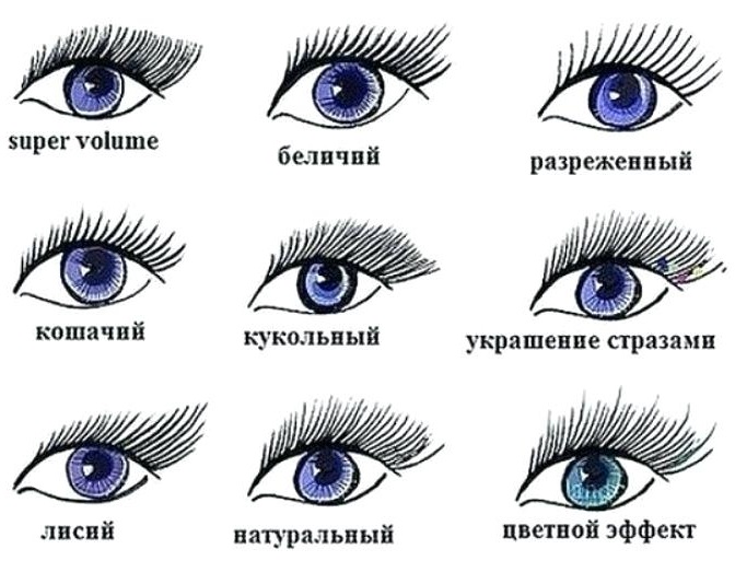 Cachos de cílios para extensão: l, m, s, l, d, ss, b, j, 3D. Foto, dimensões, espessura e comprimento