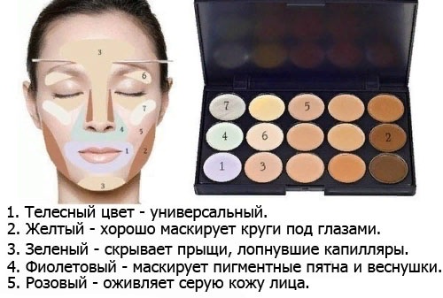 Comment appliquer correctement le correcteur sur votre visage sous les yeux. Instructions étape par étape, photos, didacticiels vidéo