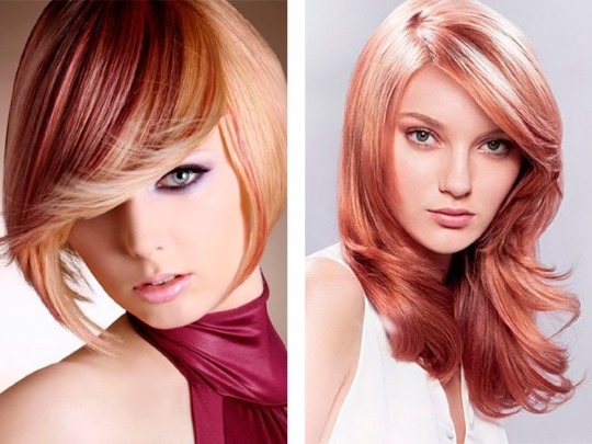 Coloração de cabelo em duas cores: topo escuro, fundo claro, topo claro, fundo escuro. Instrução e foto