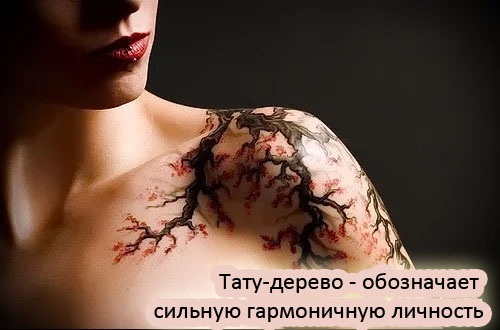 Tatuagens com significado para meninas: inscrições com tradução em latim, frases, citações curtas, esboços. Pequenas tatuagens femininas. Uma foto