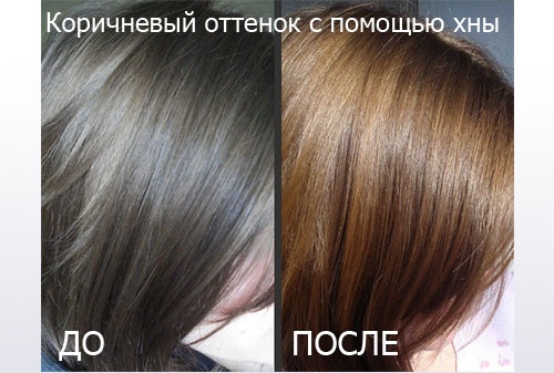 Classificação de tinturas de cabelo profissionais. Marcas de cosméticos, paleta de cores, preços