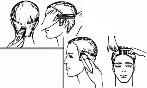 Coupe de cheveux boxe et semi-boxe. La différence réside dans la façon de couper avec les branches rasées, la technologie d'exécution, les instructions