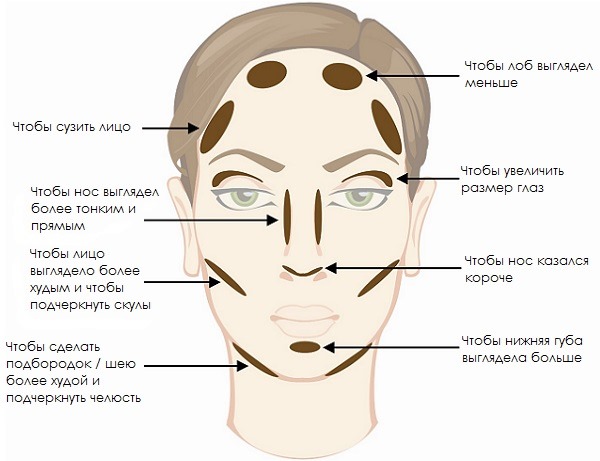 Maquillage de tous les jours pour les débutants. Photo marron, vert, yeux bleus, naturel, naturel, élégant