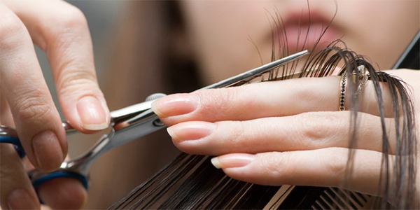 Cortes de cabelo rasgados da moda para cabelos curtos com e sem franja. Vistas frontal e traseira. Uma foto