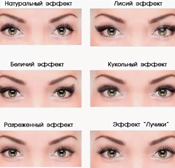 Schémas d'extension de cils avec marquages: classique, poupée, naturel, 2-3d, effet écureuil. Photo, description