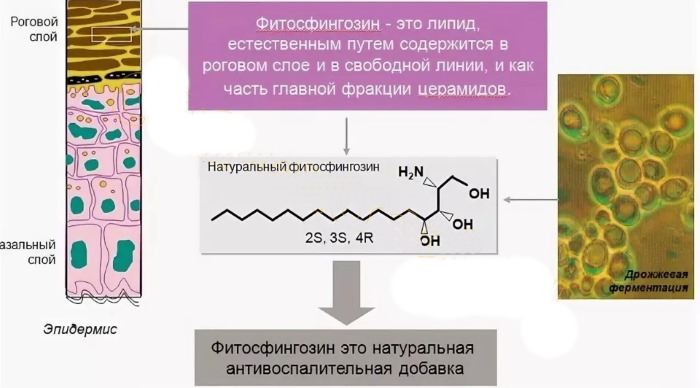 Alcoolul din produse cosmetice este dăunător? Cetearil, benzii, cetil, cetilstearil, denaturat, etil