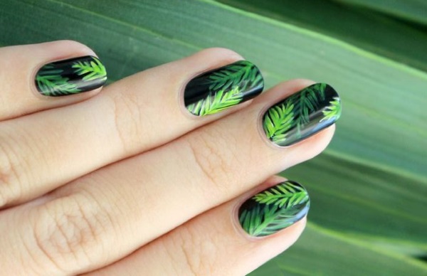 Manicure verde escura com verniz. Design fotográfico fosco para unhas curtas e compridas, novos itens, tendências da moda