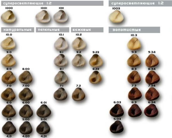 Evo Profissional Seletivo. Paleta de cores, foto, composição da tintura de cabelo, como usar