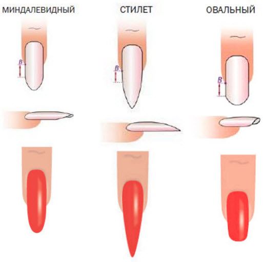 Français pour les ongles en amande avec un design. Nouveauté photo belle, douce