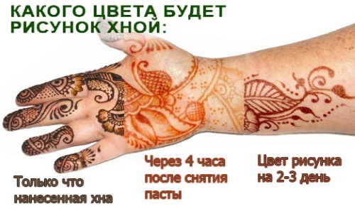 Mehendi la îndemână pentru începători. Schițe foto, desene pas cu pas