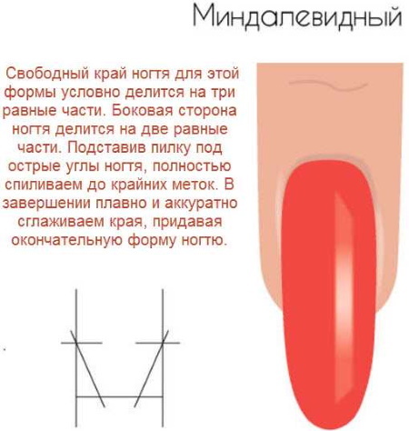 Ongles courts en forme d'amande. Conception de manucure, photos, comment faire une veste, des idées