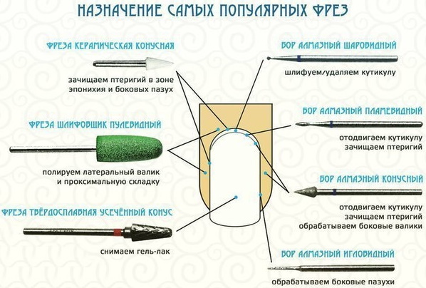 Bocais (cortadores) para aparelhos de manicura. O que é usado para quê, foto