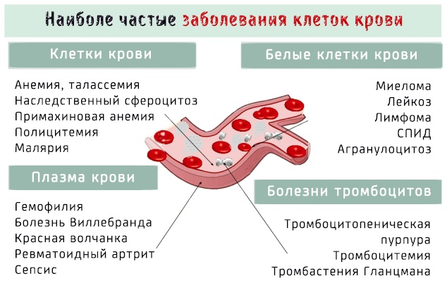 Tatuagem de sobrancelha. Contra-indicações, consequências, danos durante a gravidez, menstruação, lactação, diabetes