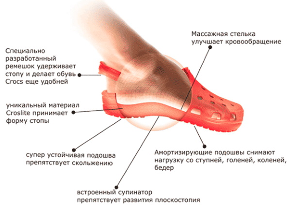 Pantofi Crocs (Crocs). Grilă dimensională pentru copii, bărbați, crocuri pentru femei: cizme, adidași, sandale, cizme